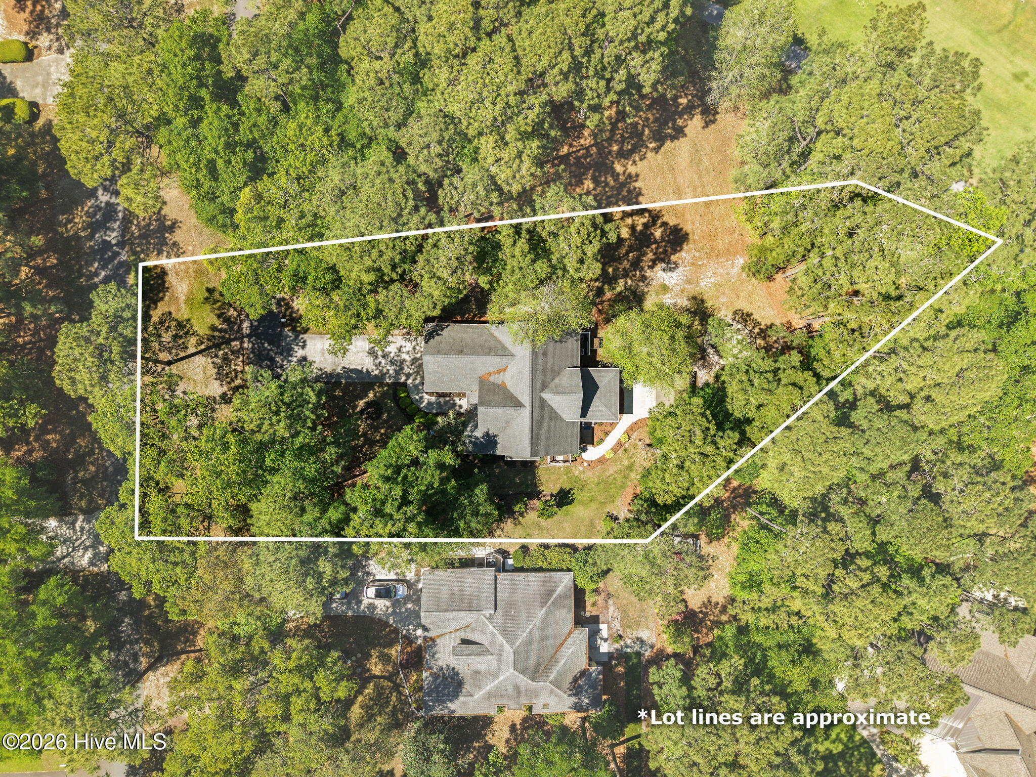 100568987 | Photo 50