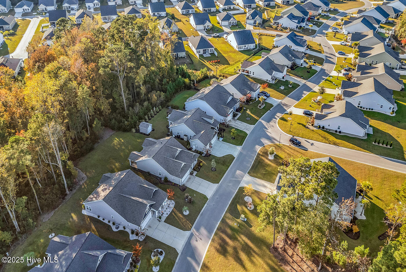 100539654 | Photo 58