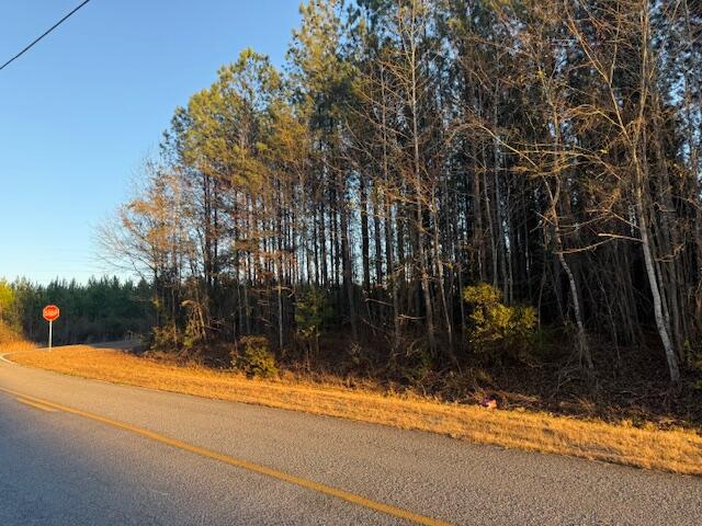 Homes for sale in Warrenton, GA | 1398 Mauldin Rd, Warrenton, GA 30828 | MLS# 552436