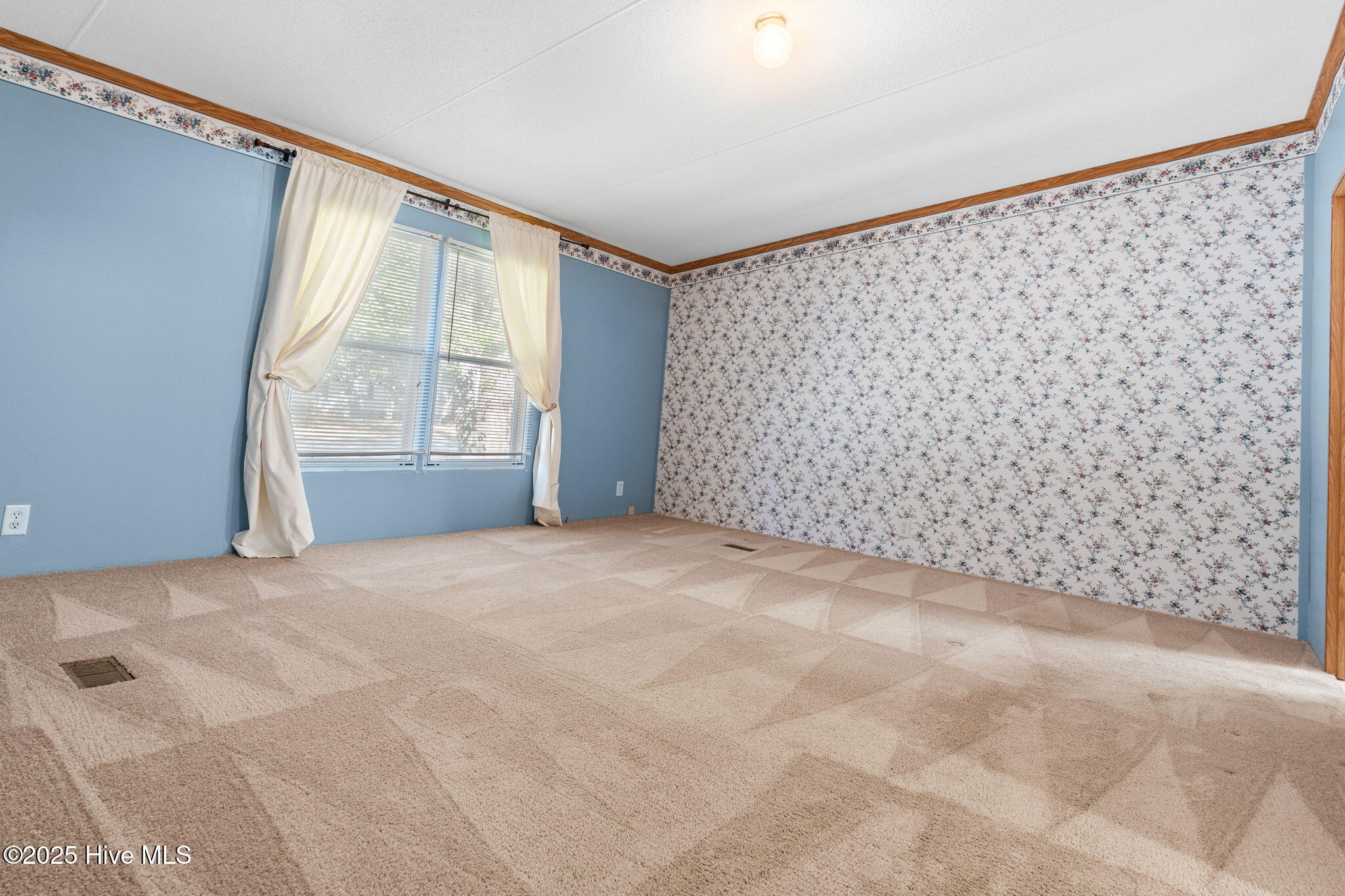 100541276 | Photo 24