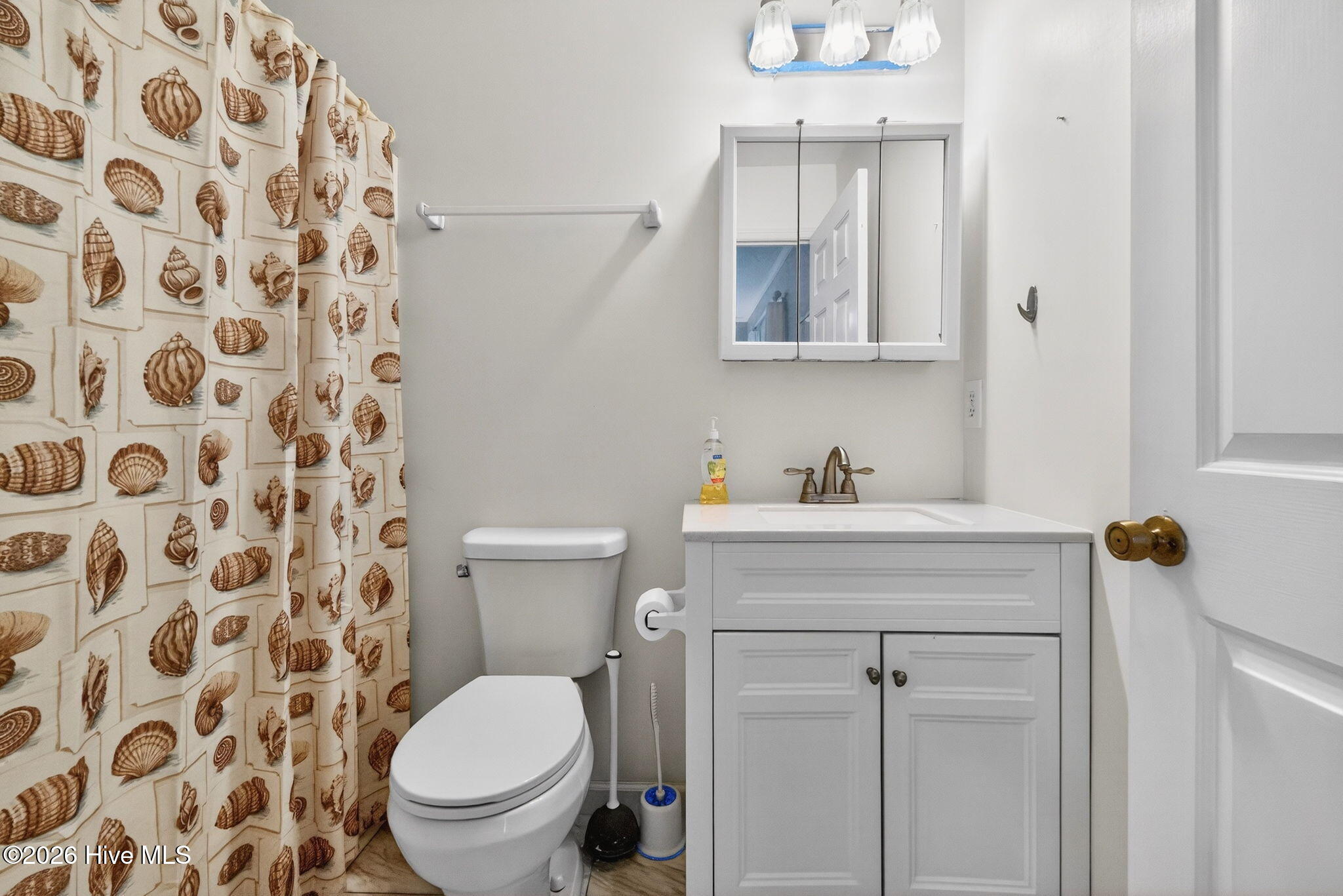 100558118 | Photo 33