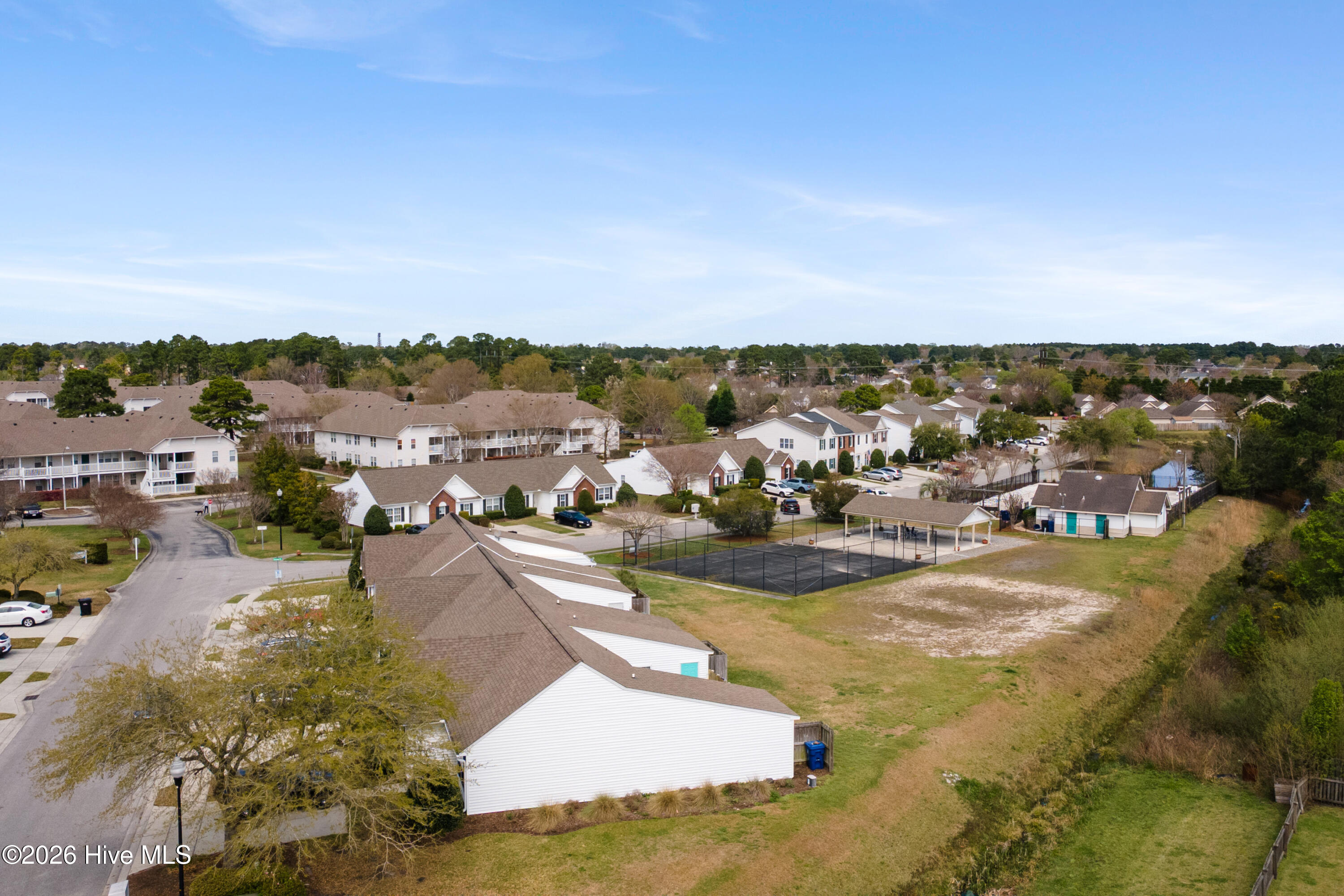 100559997 | Photo 13