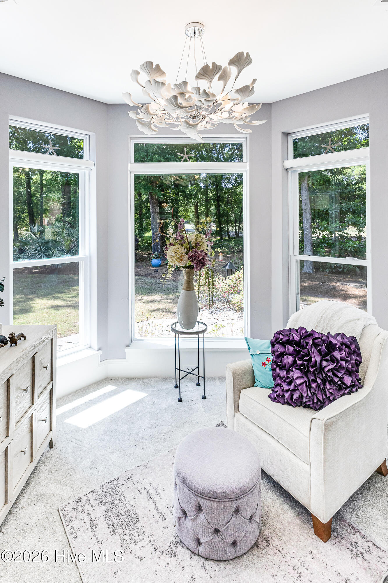 100570031 | Photo 30