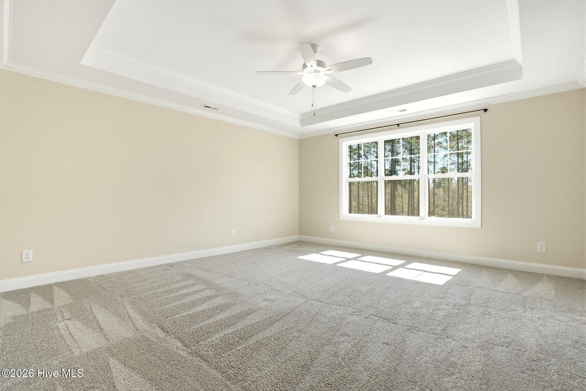 100562109 | Photo 41