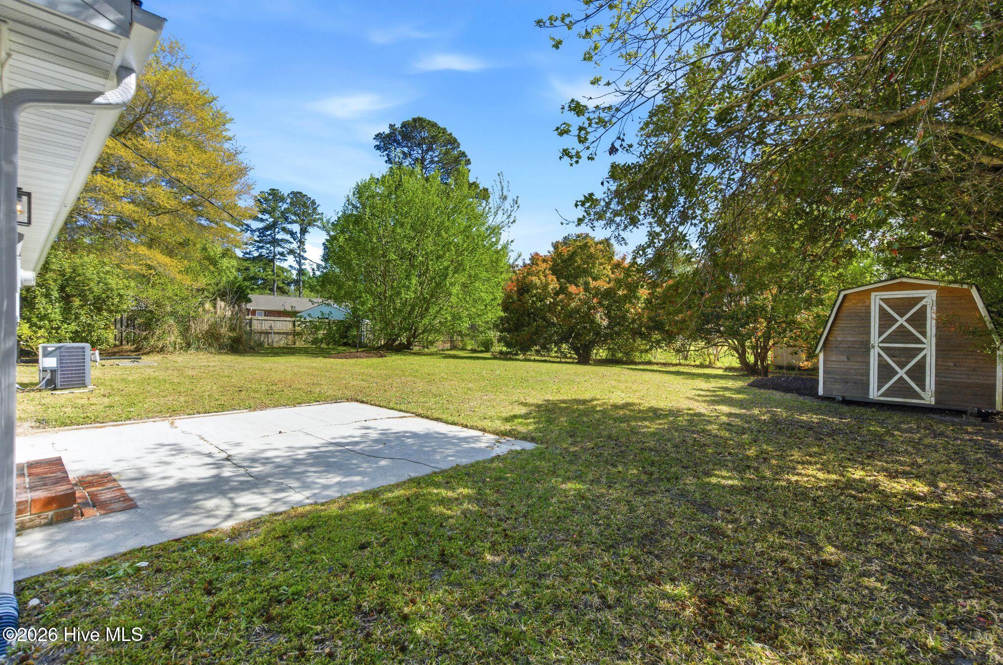 100564209 | Photo 50