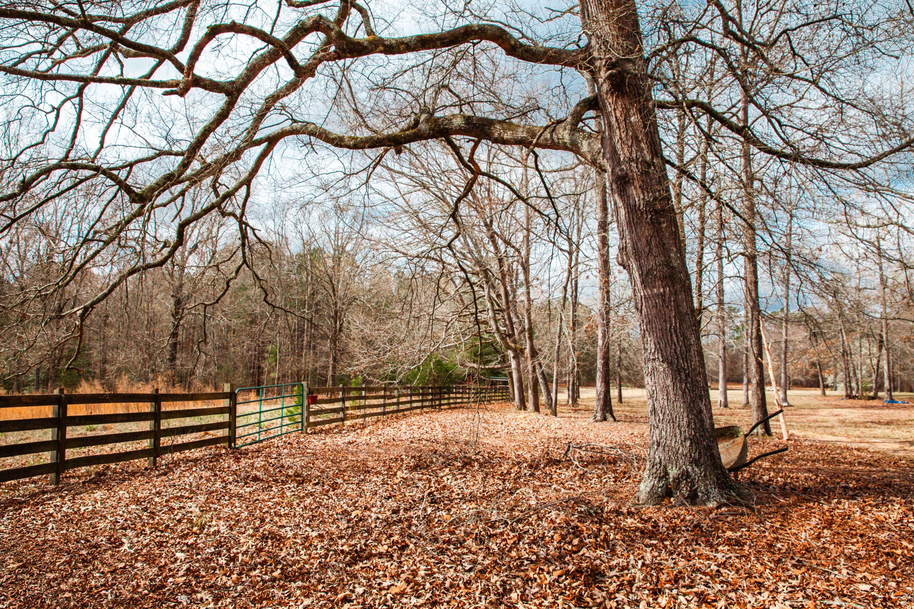 Homes for sale in Lincolnton, GA | 1215 Guillebeau Rd, Lincolnton, GA 30817 | MLS# 553081