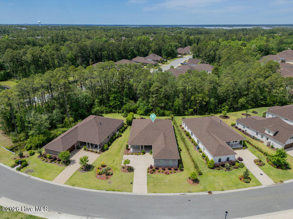 100553445 | Photo 44