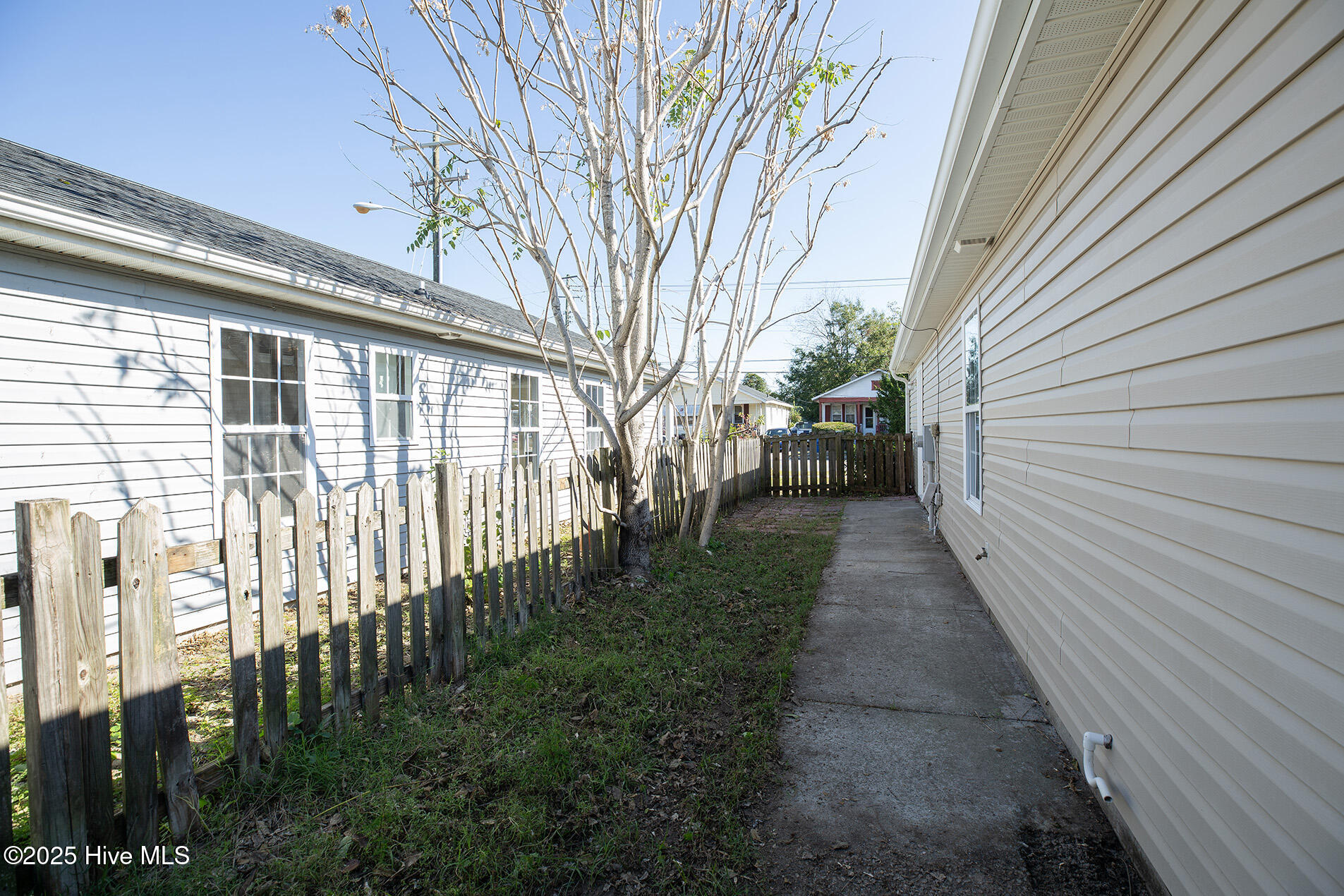 100539713 | Photo 29