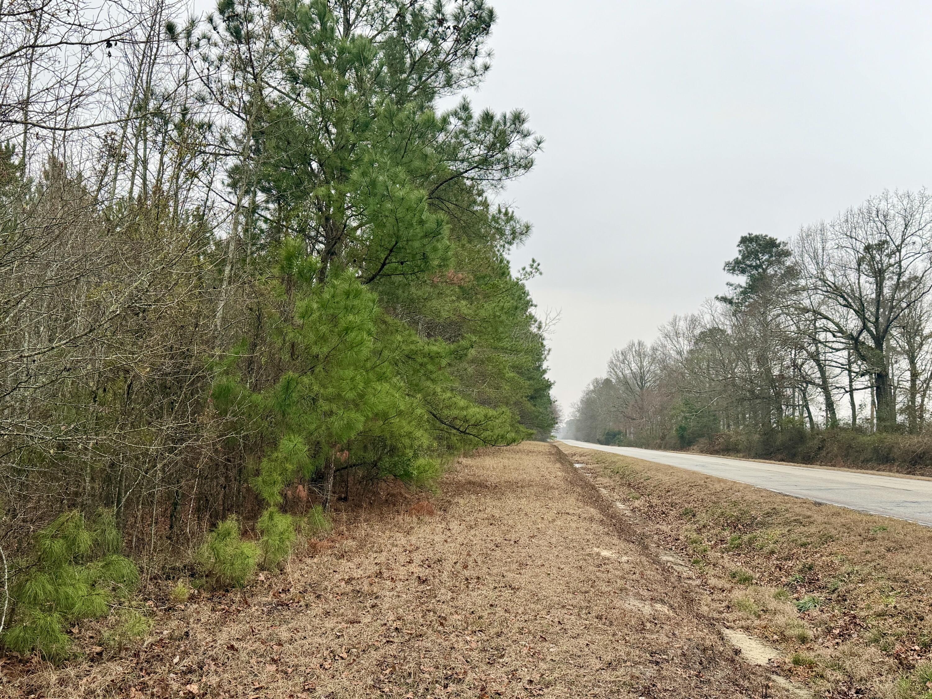 Homes for sale in Midville, GA | 00 Ga-305, Midville, GA 30441 | MLS# 551390