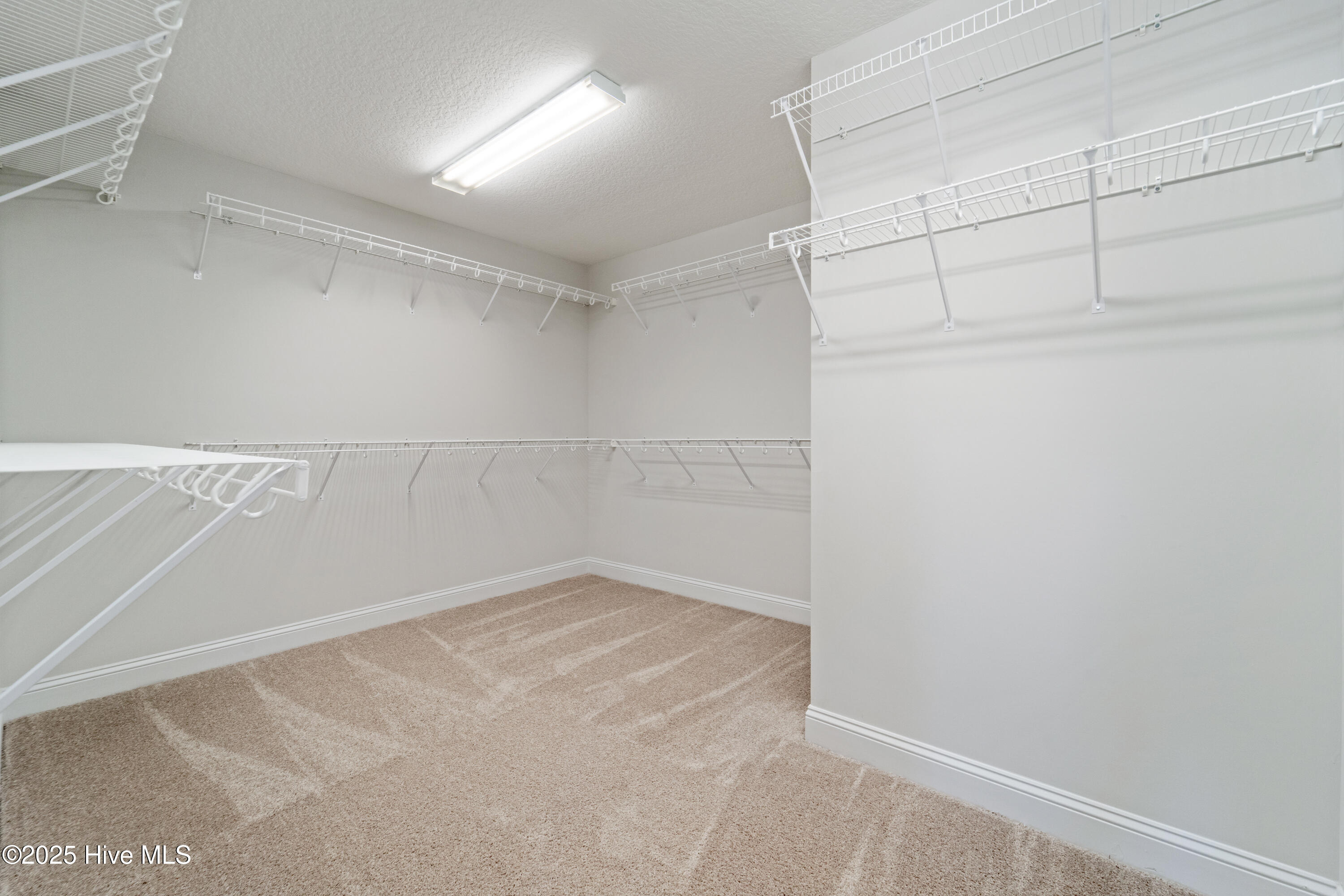 100512578 | Photo 35