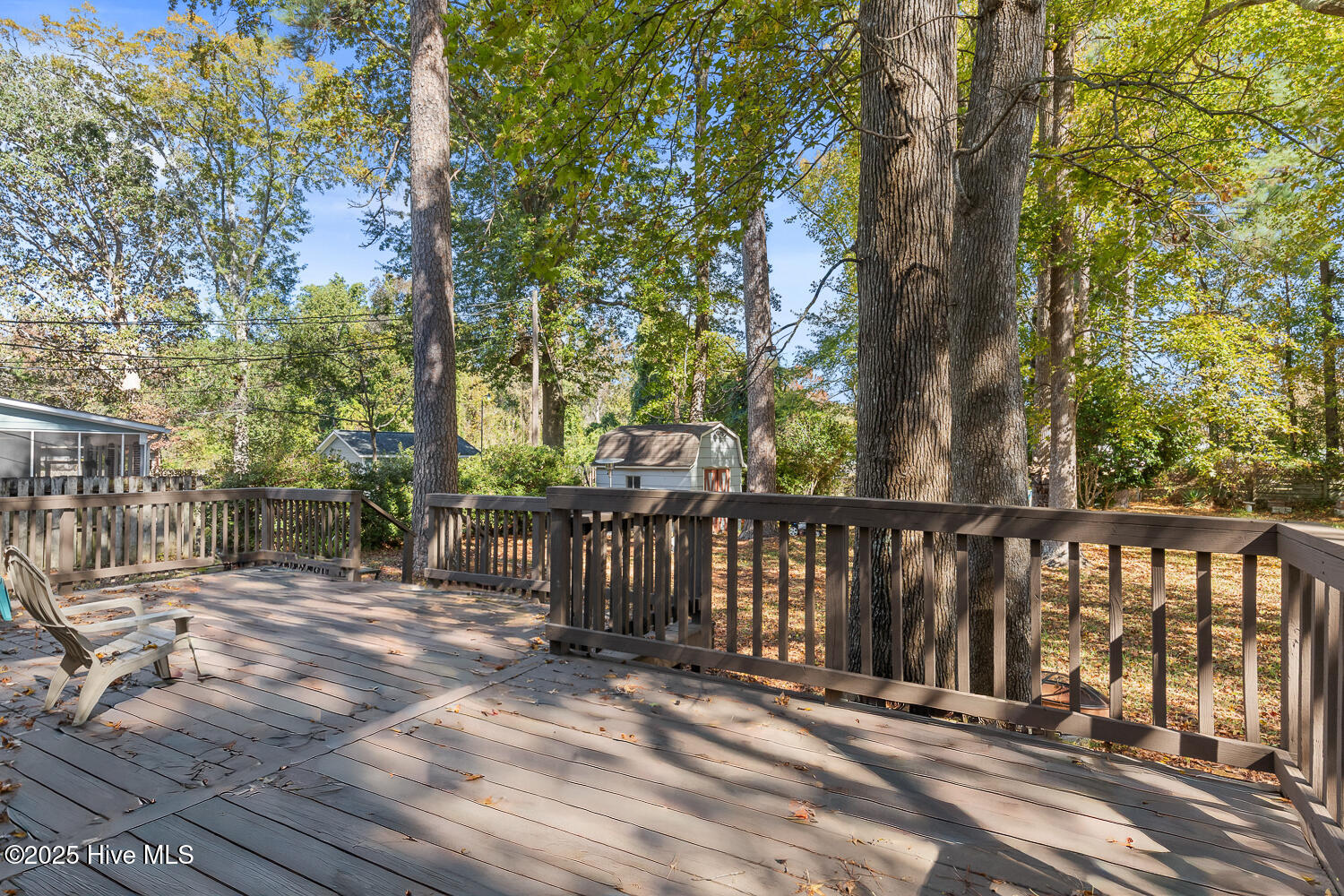 100539145 | Photo 43