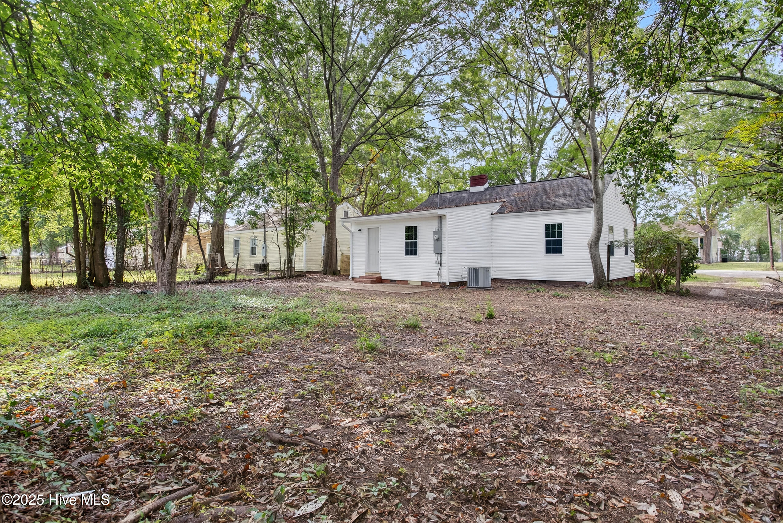 100535237 | Photo 22