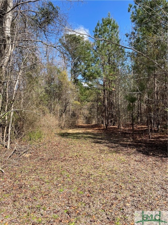 0 FISH Road, Newington, GA, 30446