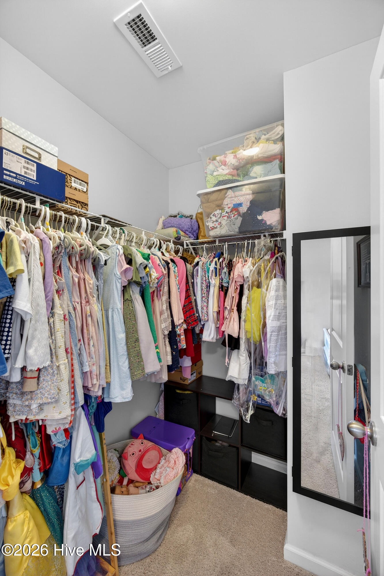 100562313 | Photo 45