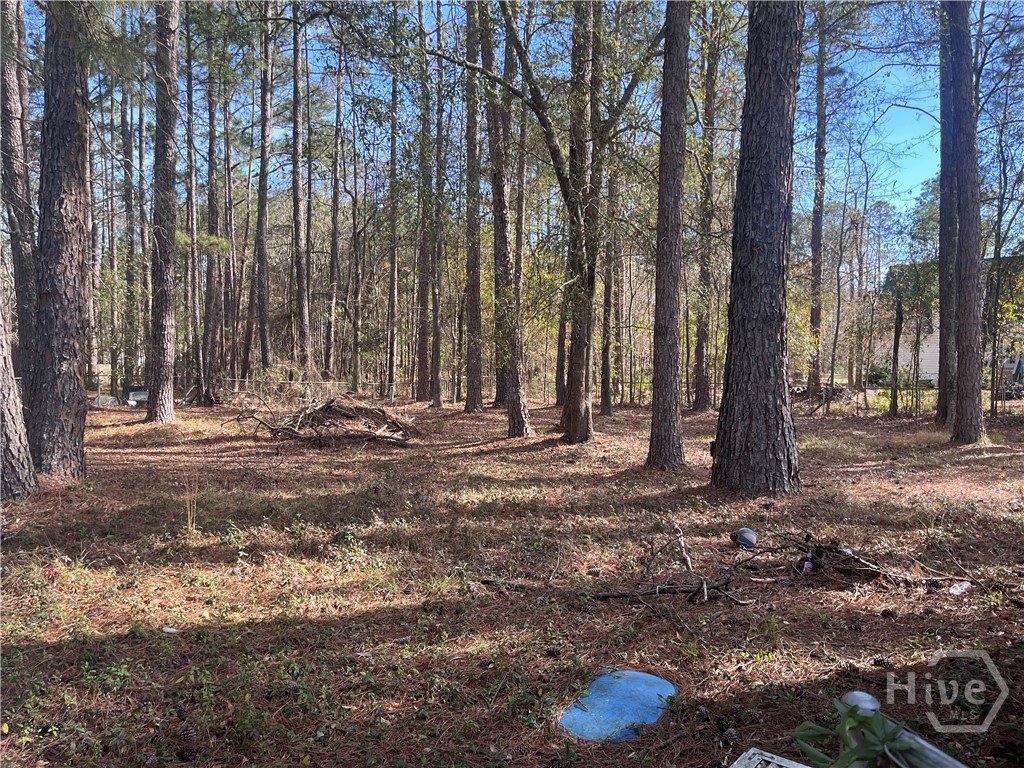 Homes for sale in Bloomingdale, GA | 157 John Carter Rd, Bloomingdale, GA 31302 | MLS# SA347978