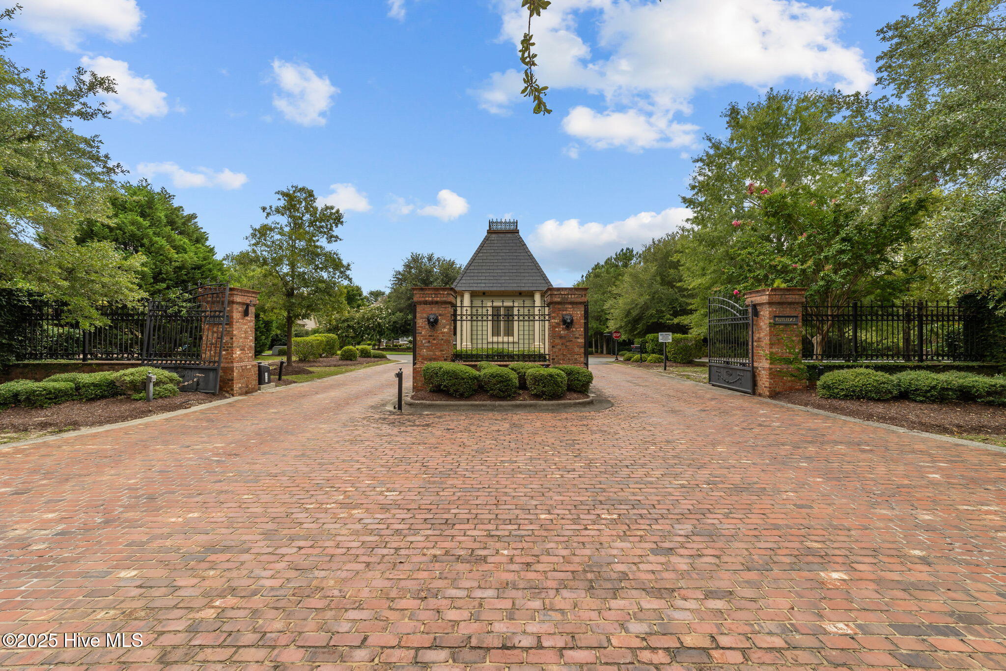 100523810 | Photo 30