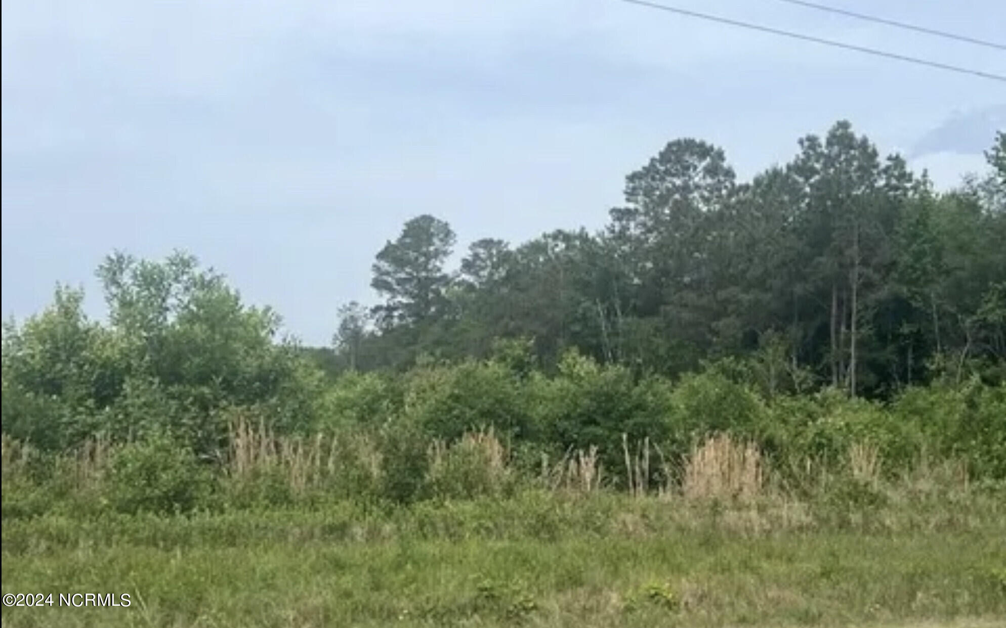 0 FISH Road, Newington, GA, 30446