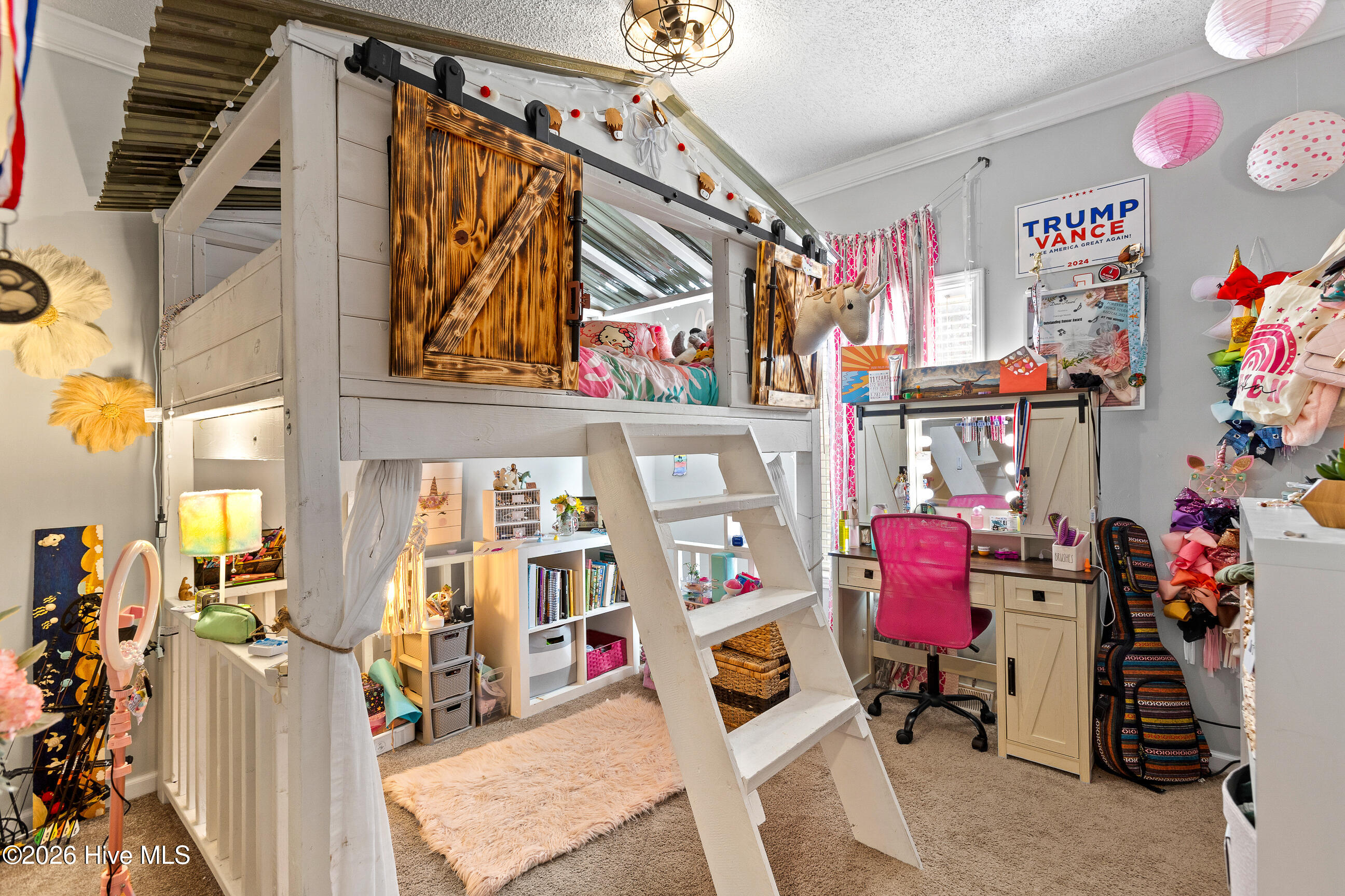 100559126 | Photo 24