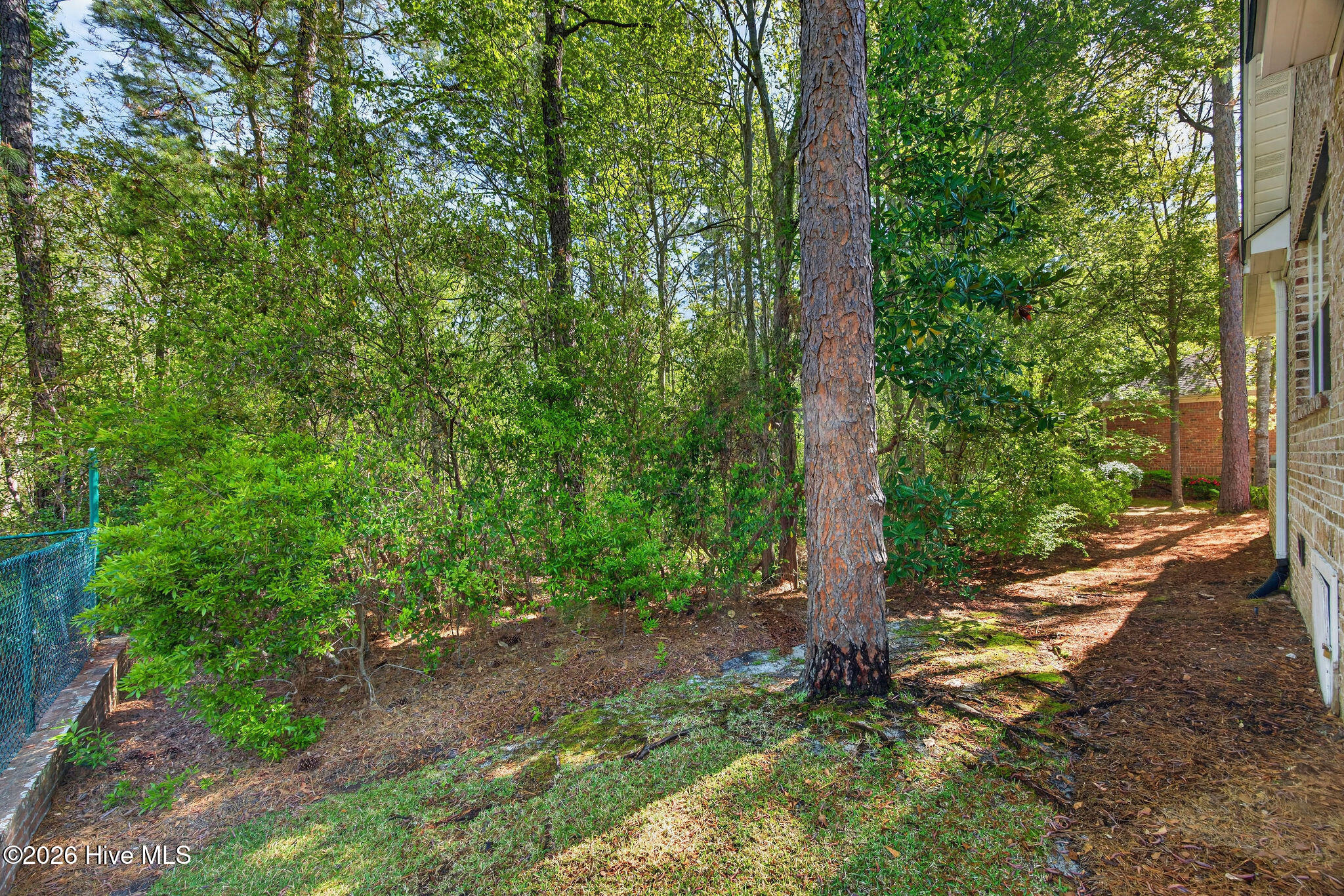 100567752 | Photo 35