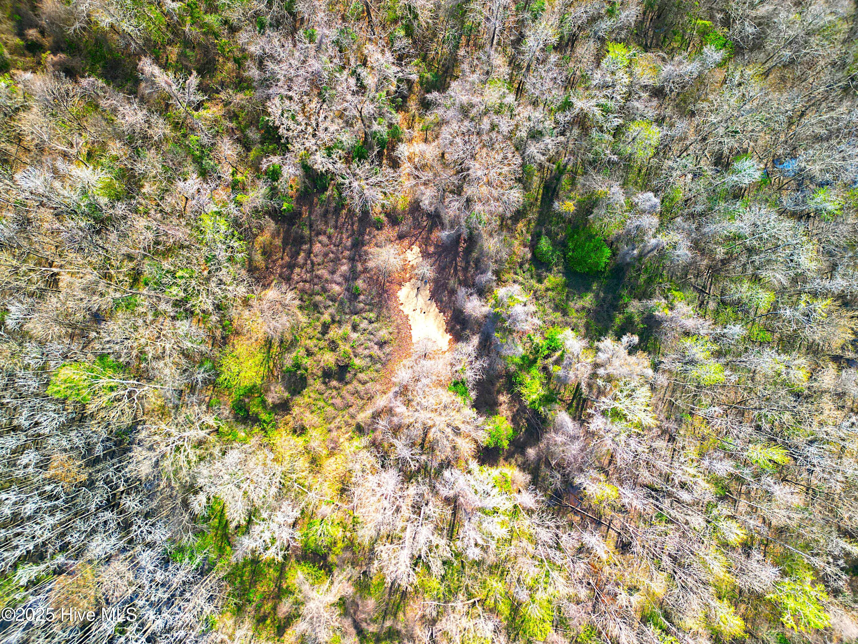 100496184 | Photo 34