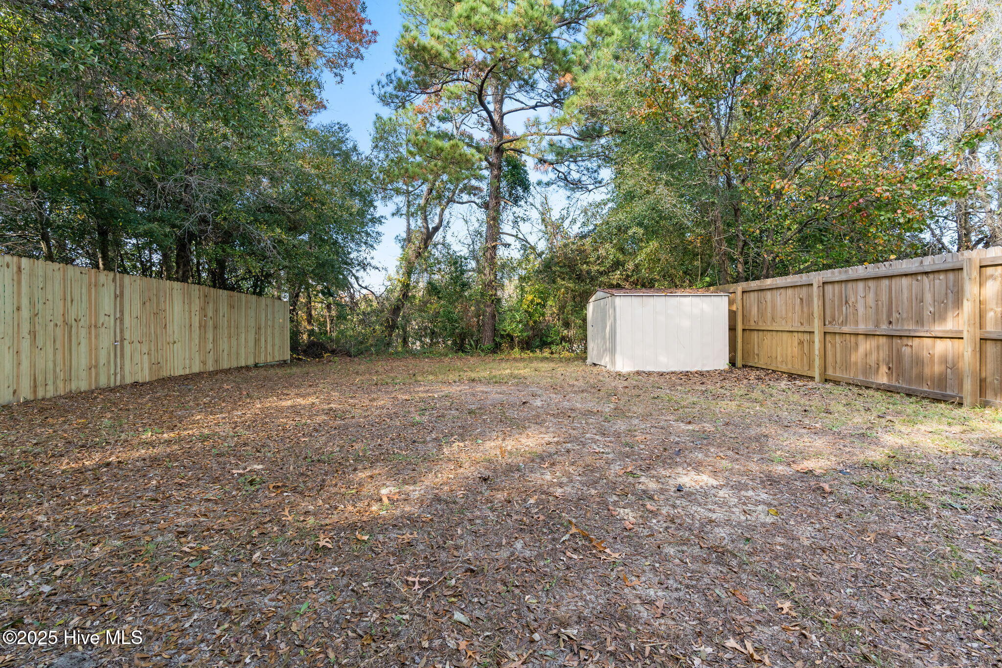 100542432 | Photo 26