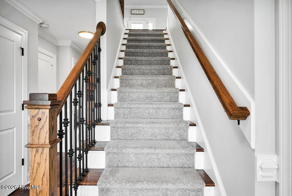 100566237 | Photo 24