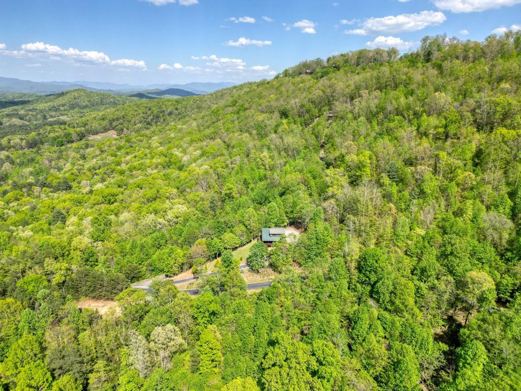 249 Buck Ridge Drive, Murphy, NC 28906 Listing Photo  55