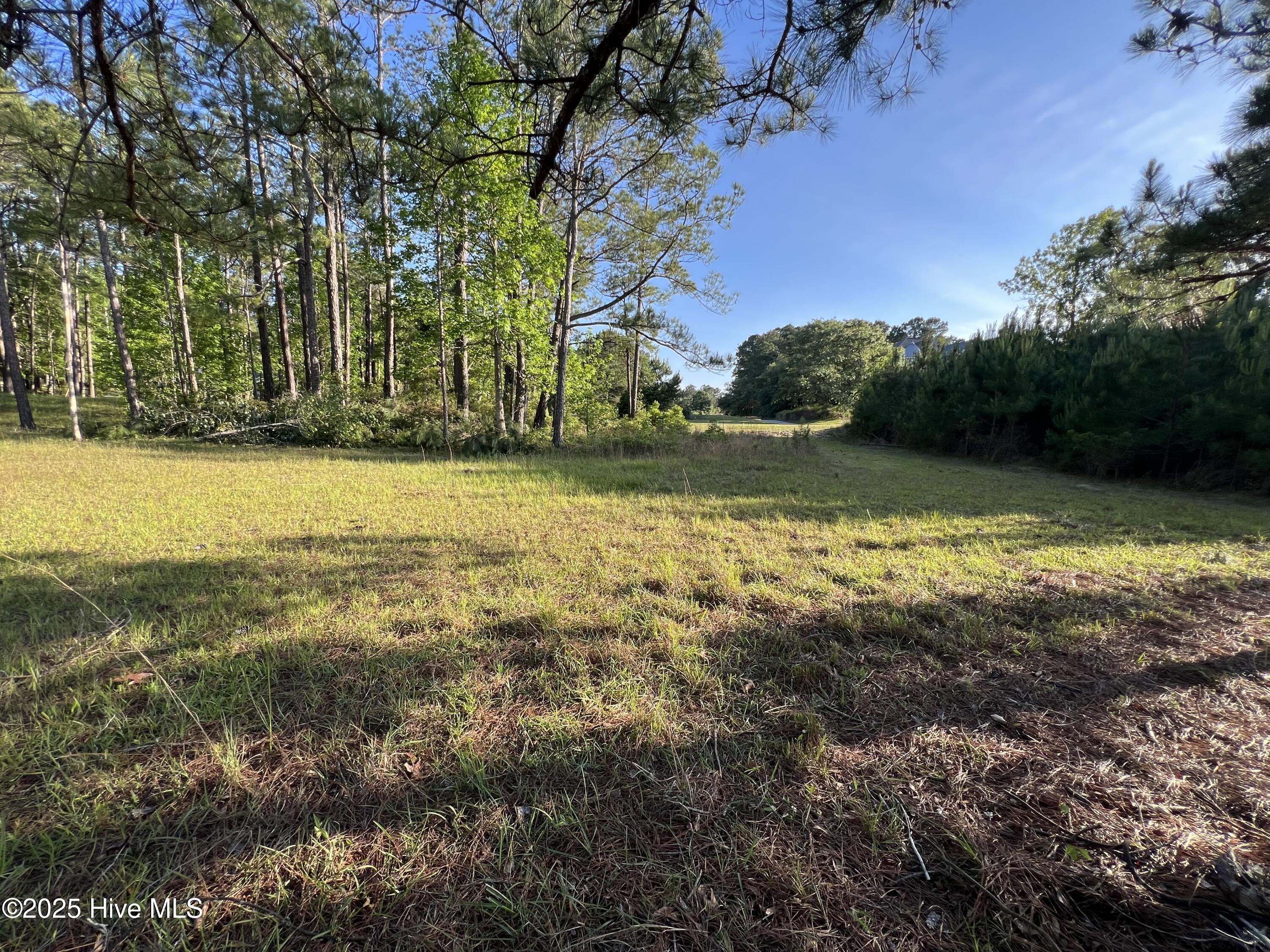 100509687 | Photo 44