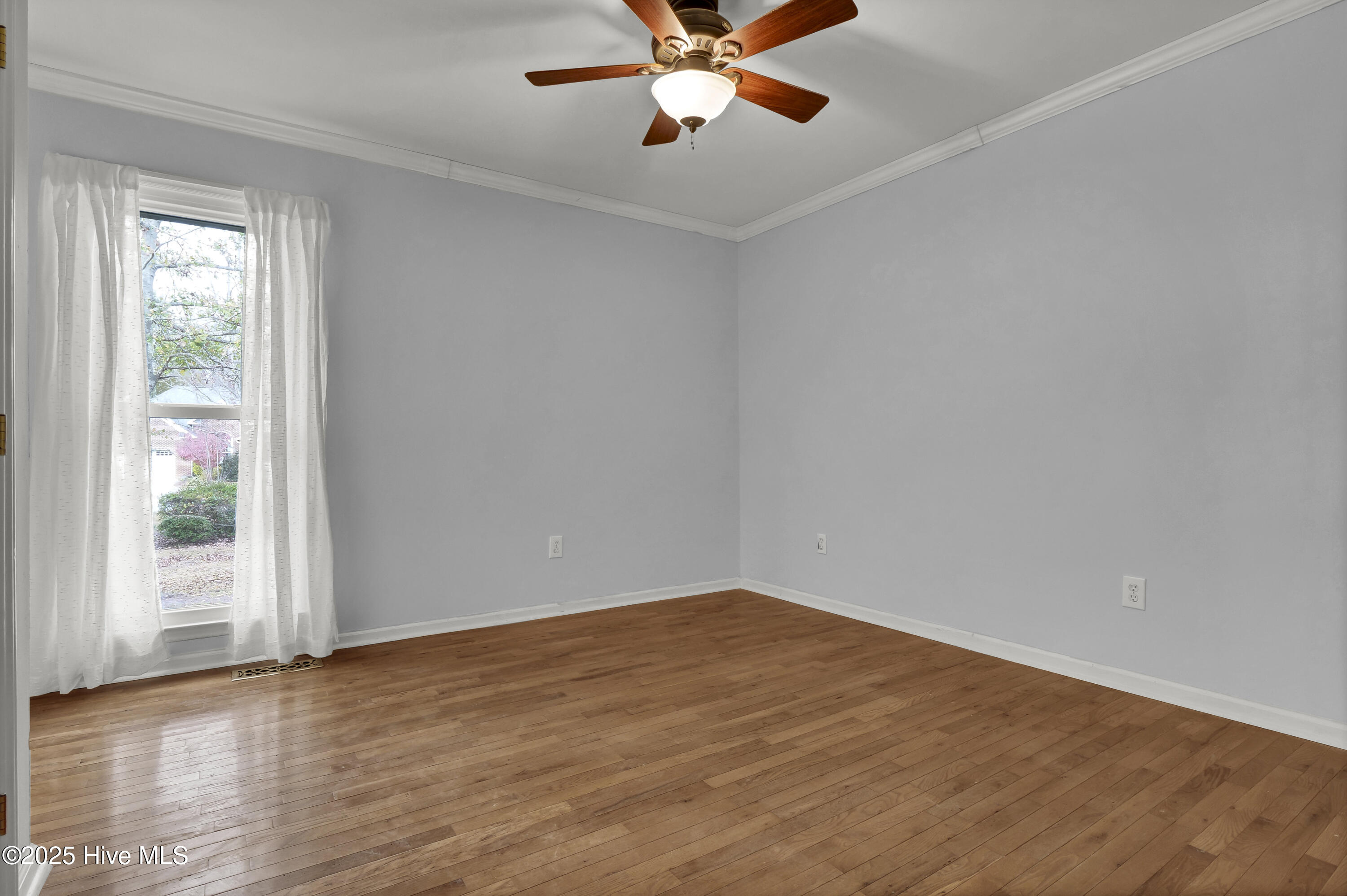 100546106 | Photo 22