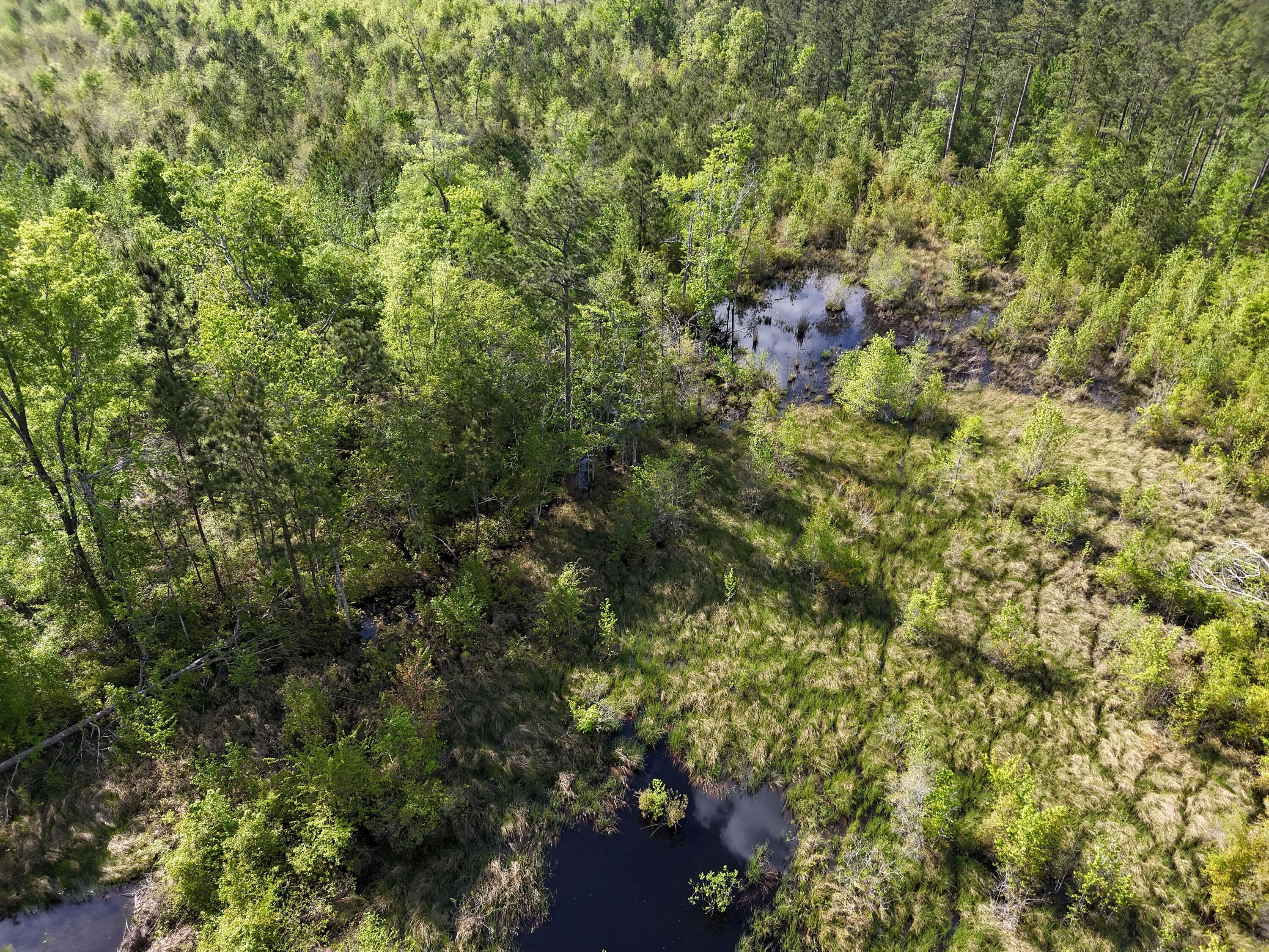 DJI_20250410043802_0018_D