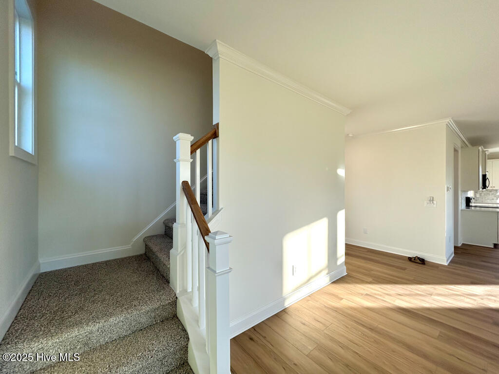 100510089 | Photo 51