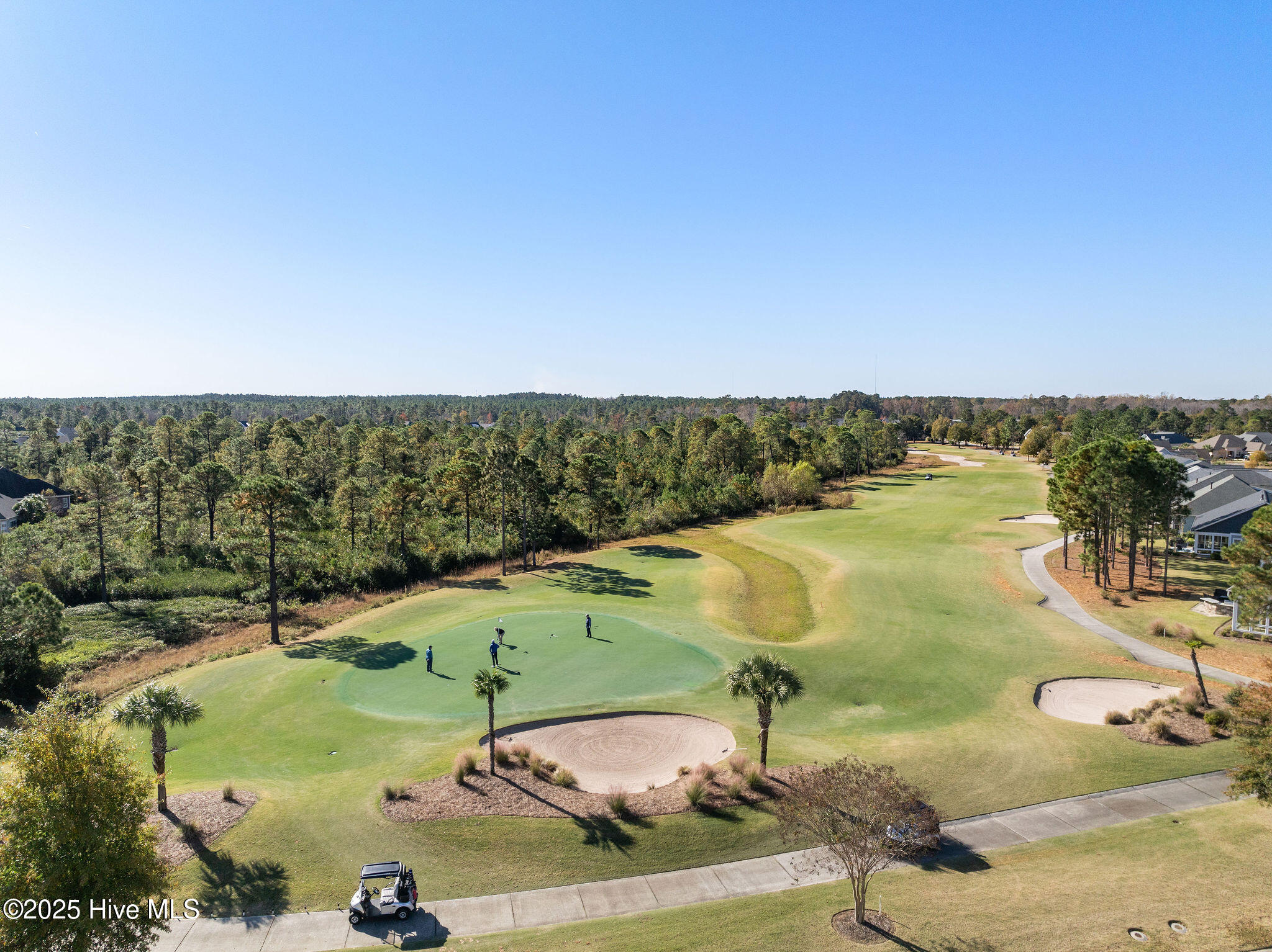 100541913 | Photo 86