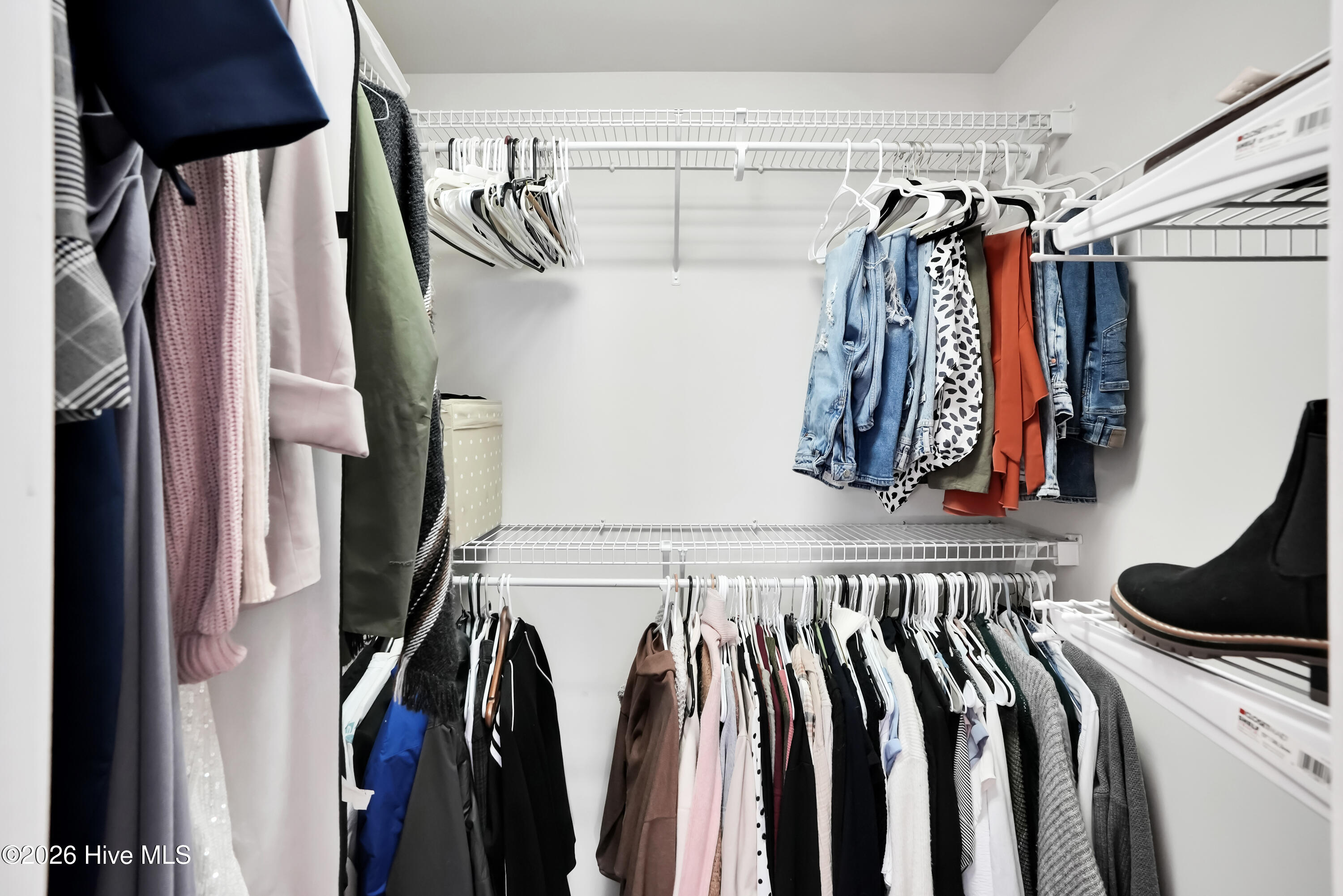 100555387 | Photo 25