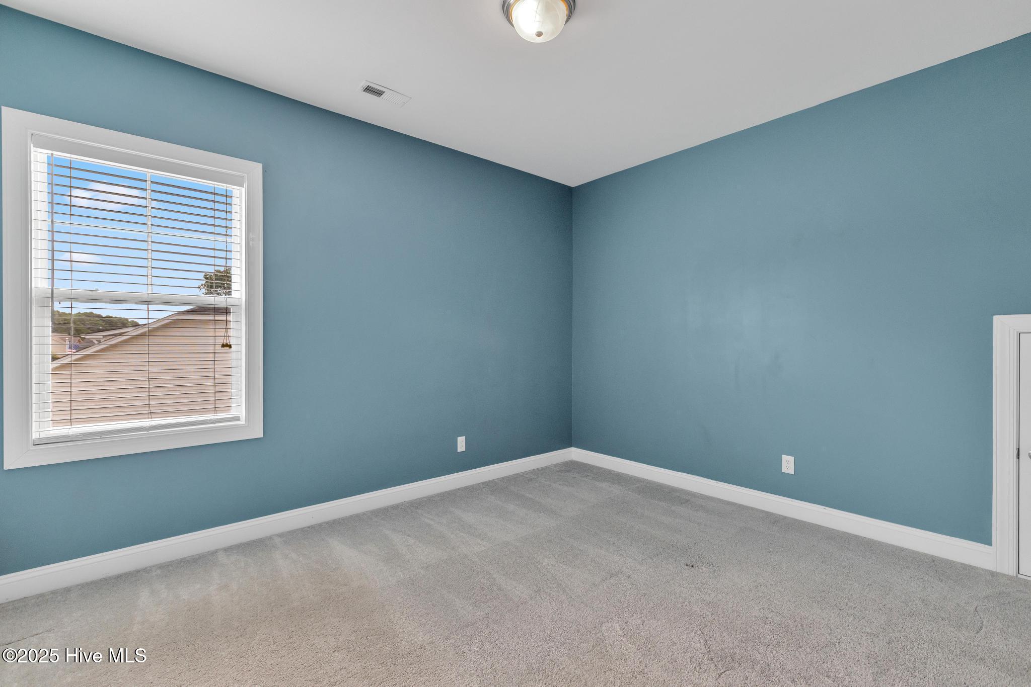 100531239 | Photo 35