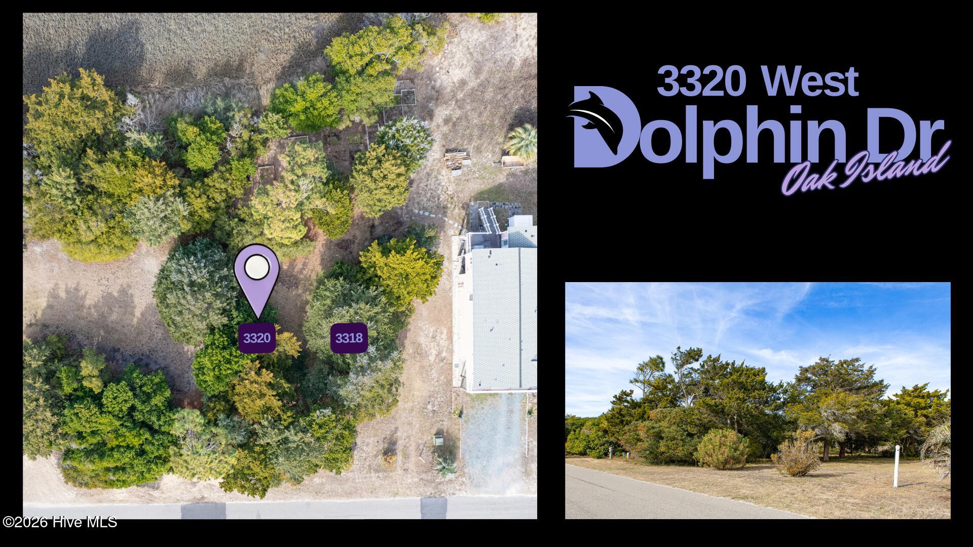 100551224 | Photo 12