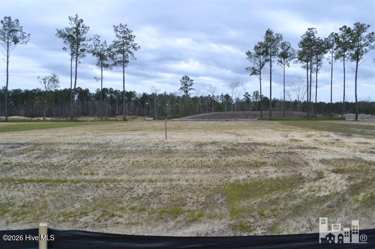 100605270 | Photo 2