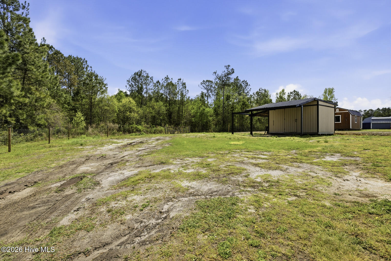 100565358 | Photo 34