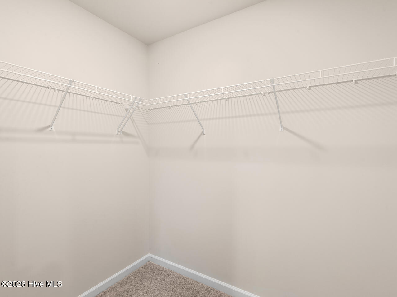 100551110 | Photo 20