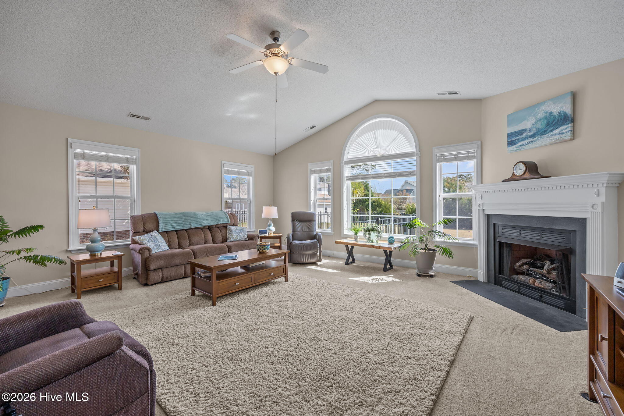 100570536 | Photo 39