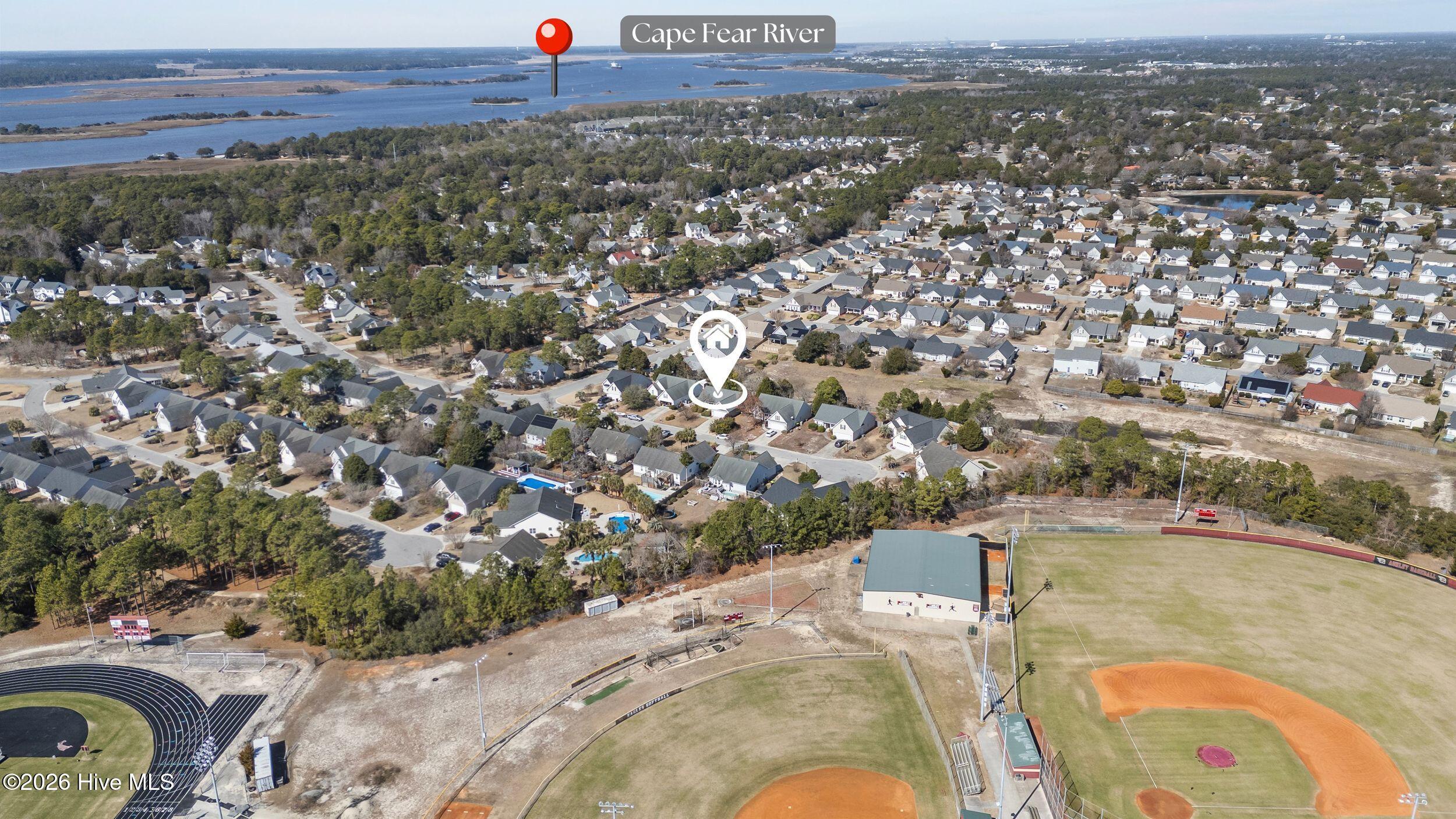 100555445 | Photo 49