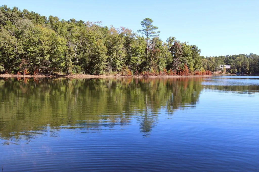 Undisclosed Address, Appling, GA, 30802