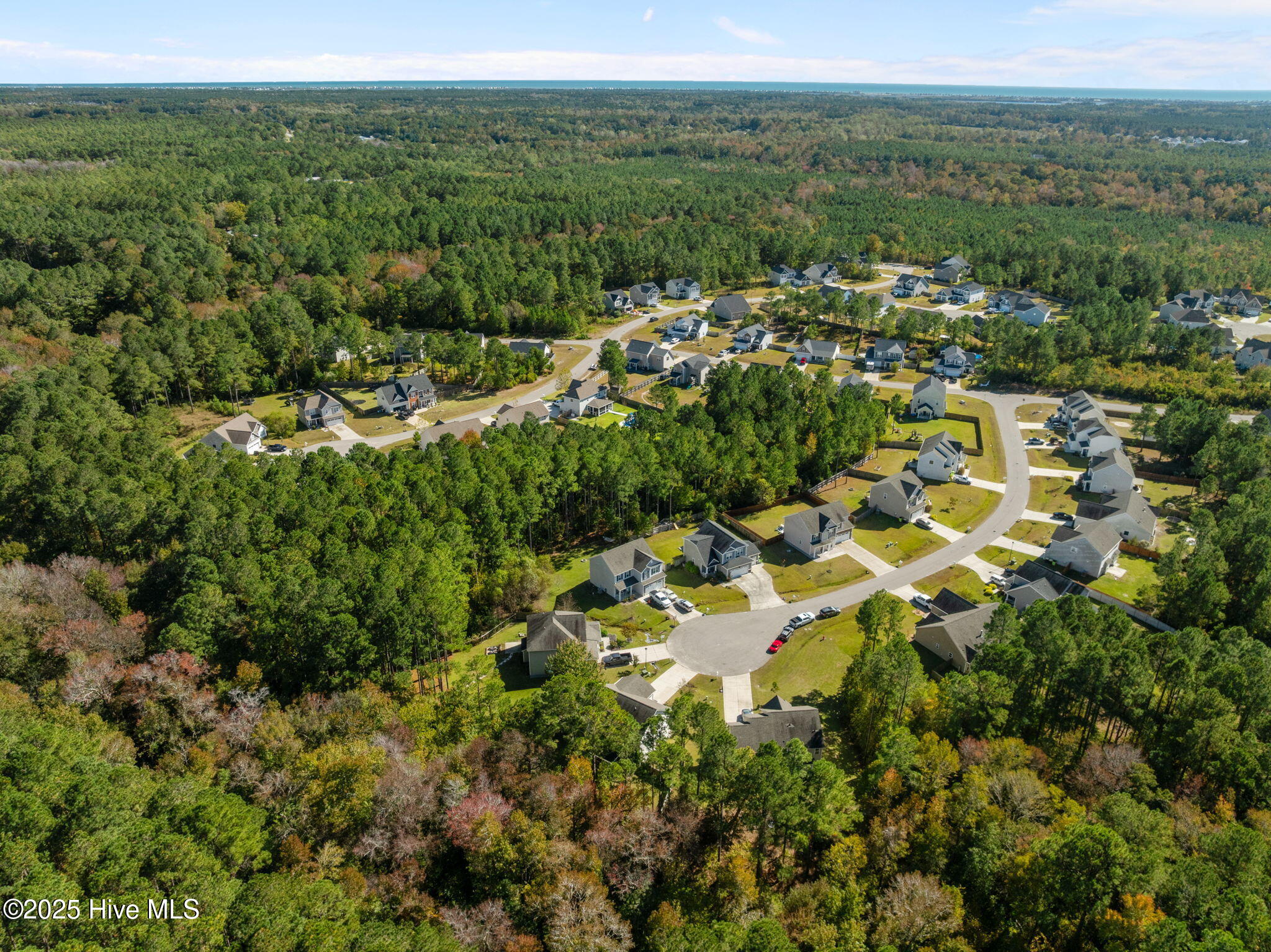 100538964 | Photo 53