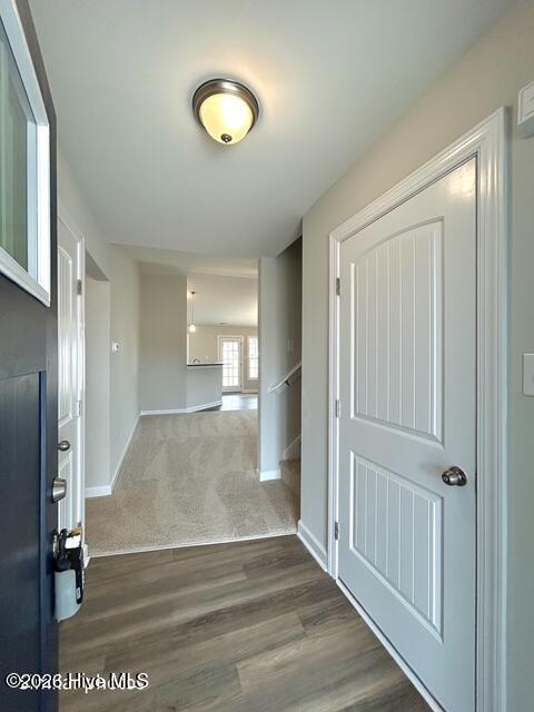 100560843 | Photo 14