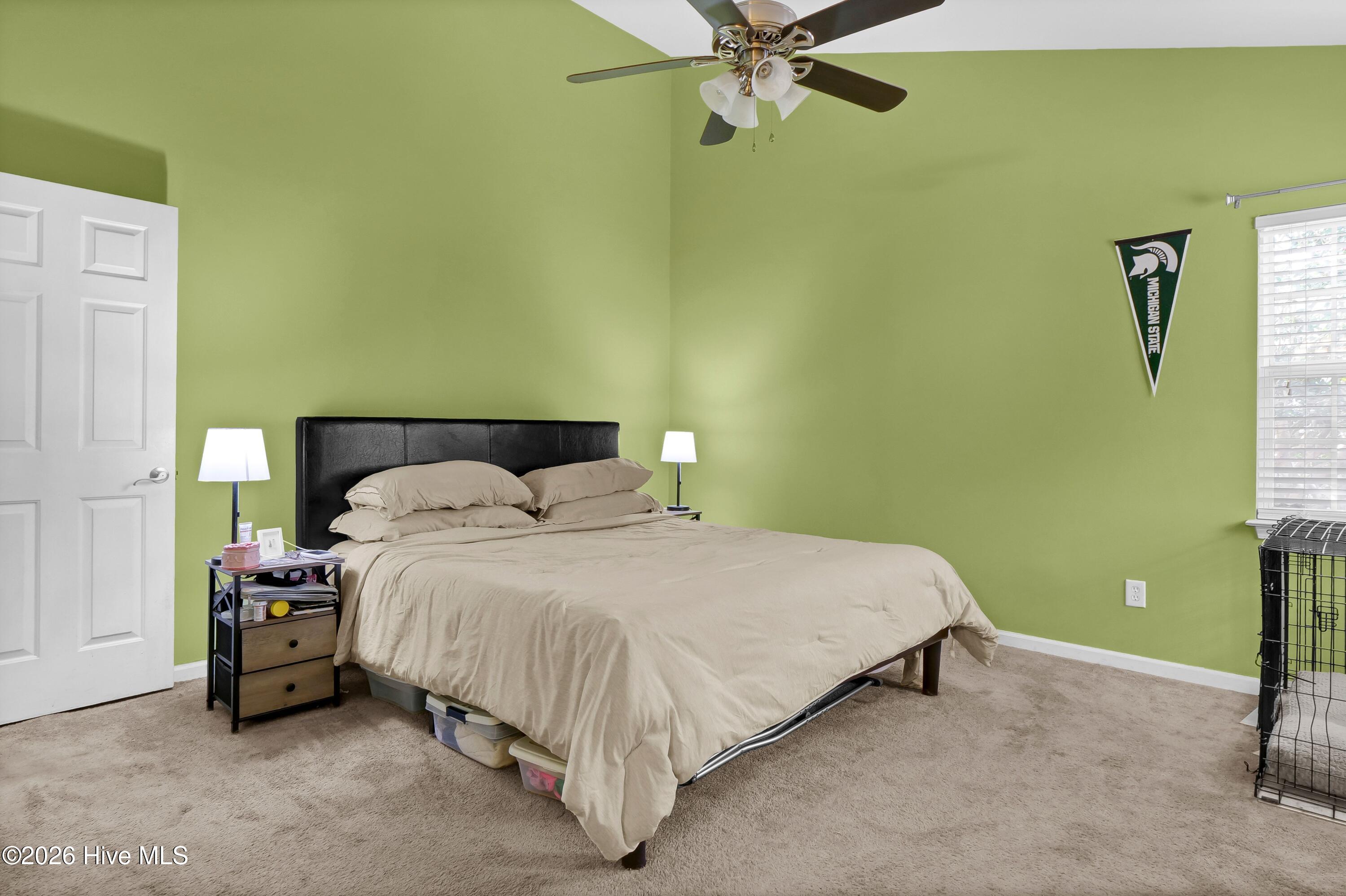 100552082 | Photo 18