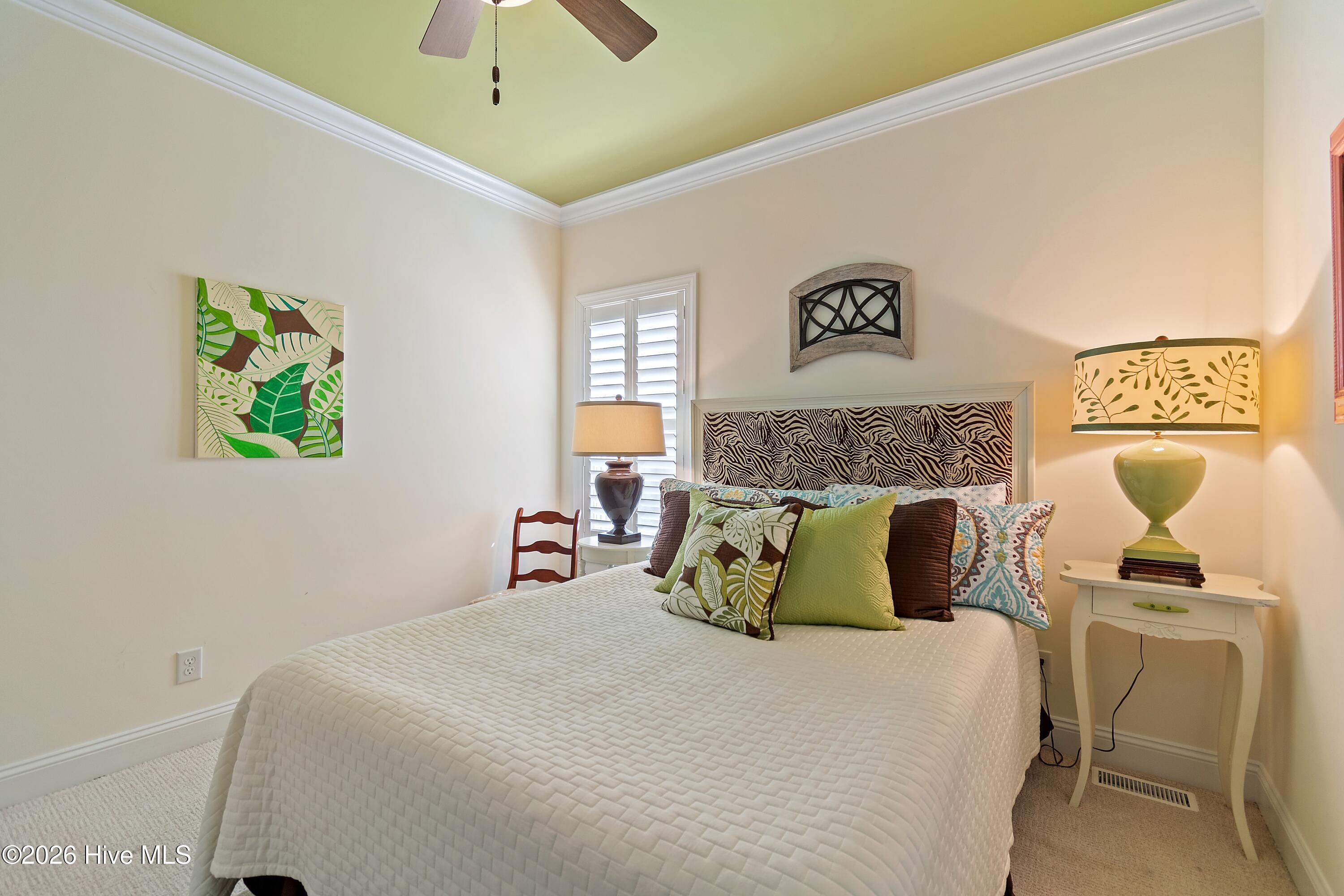 100558702 | Photo 48