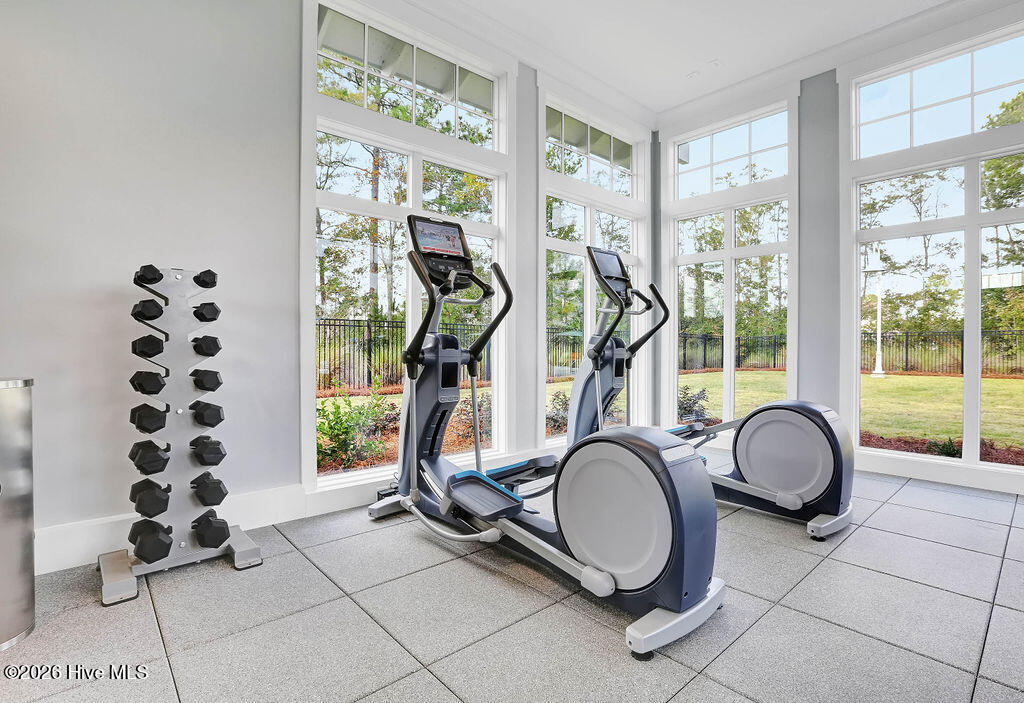 100565235 | Photo 97