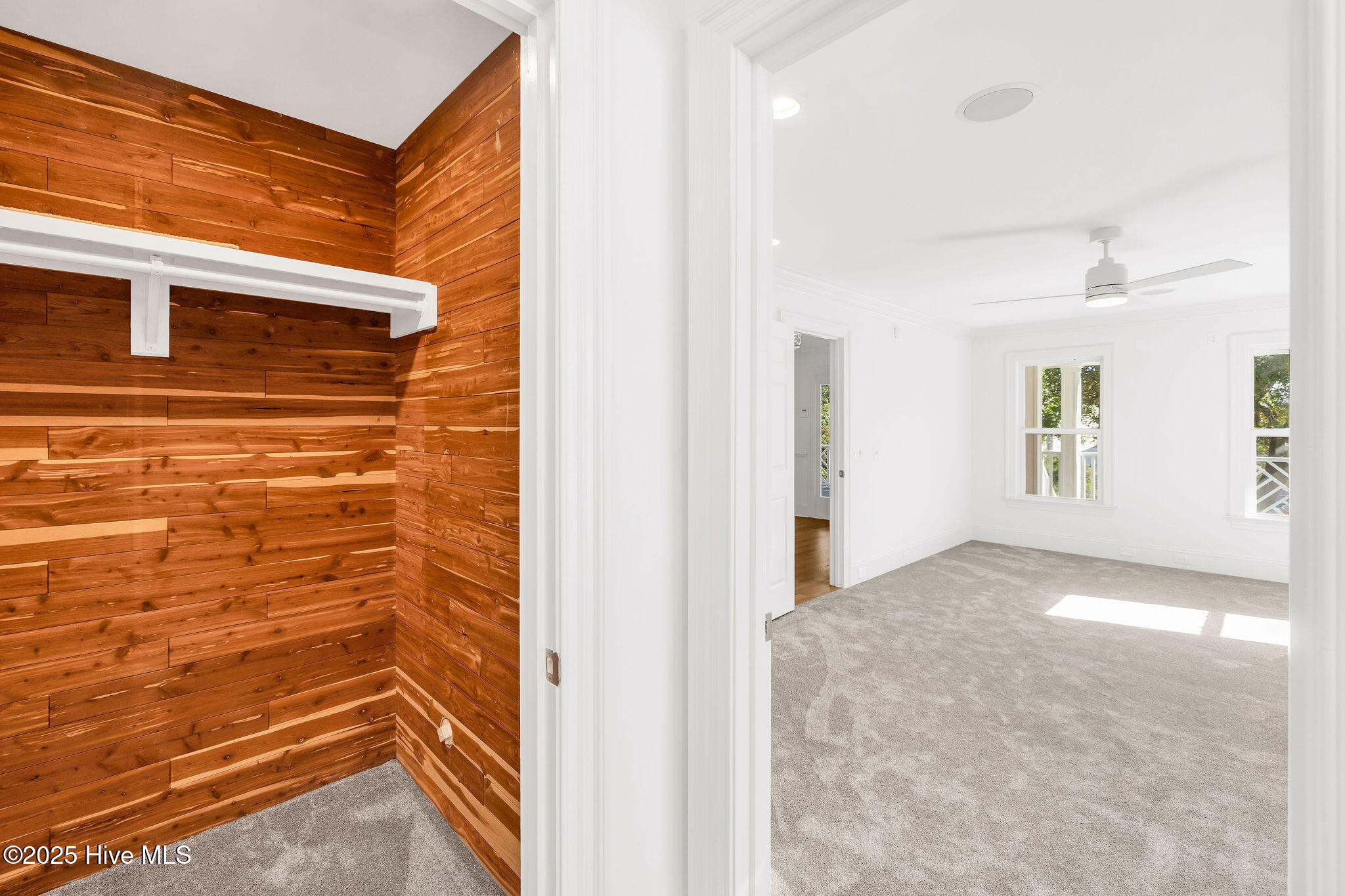 100540097 | Photo 37