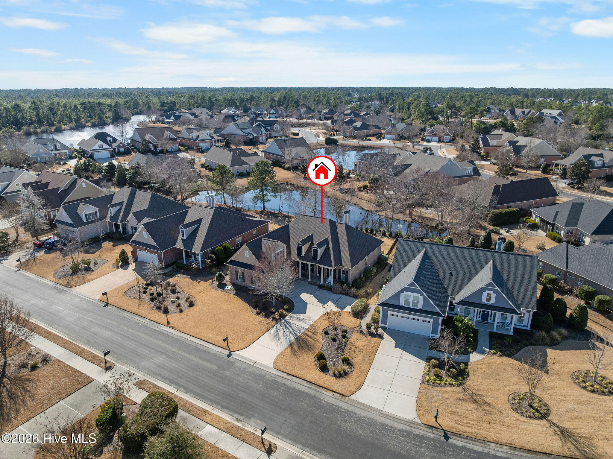 100564801 | Photo 44