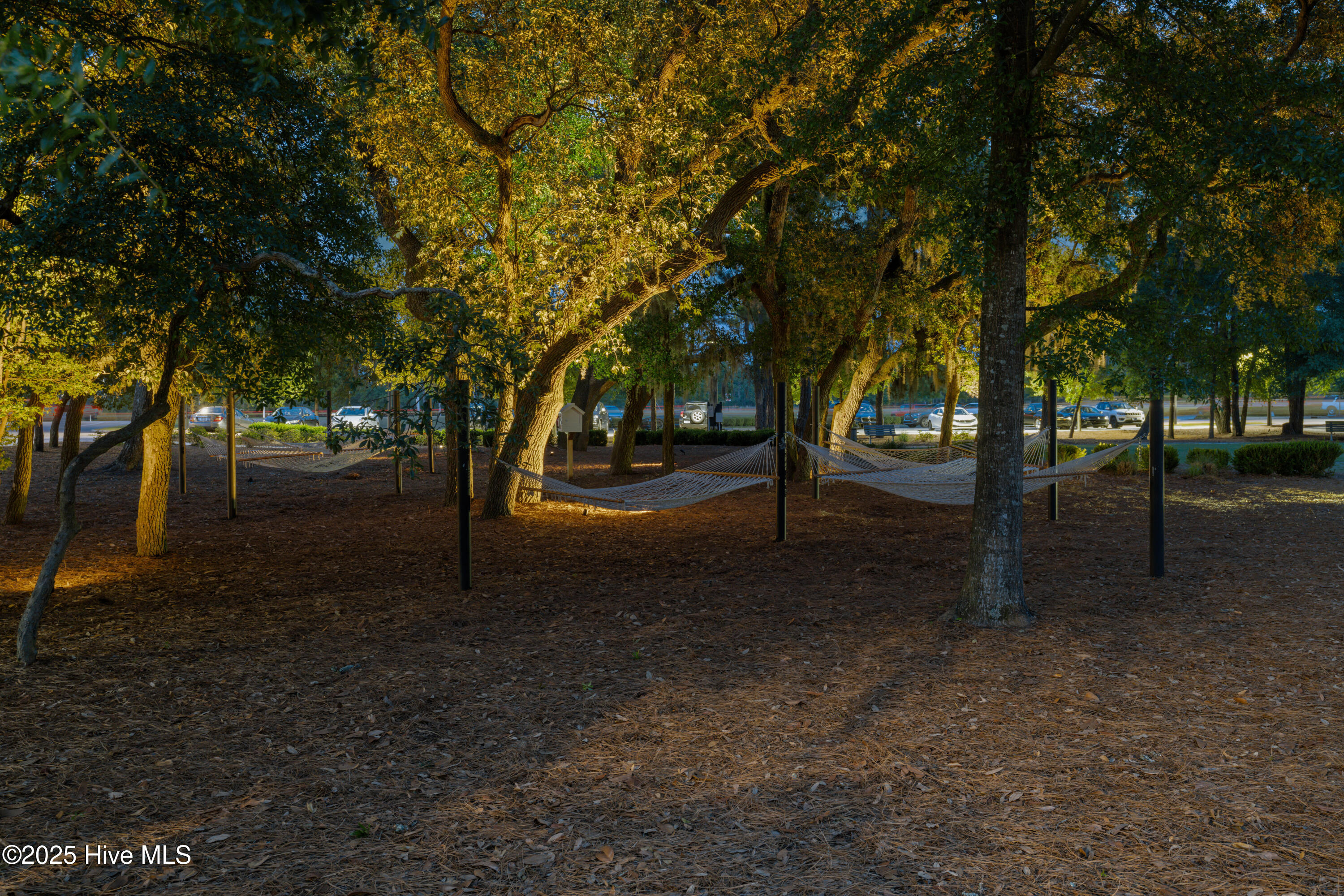 100526645 | Photo 68