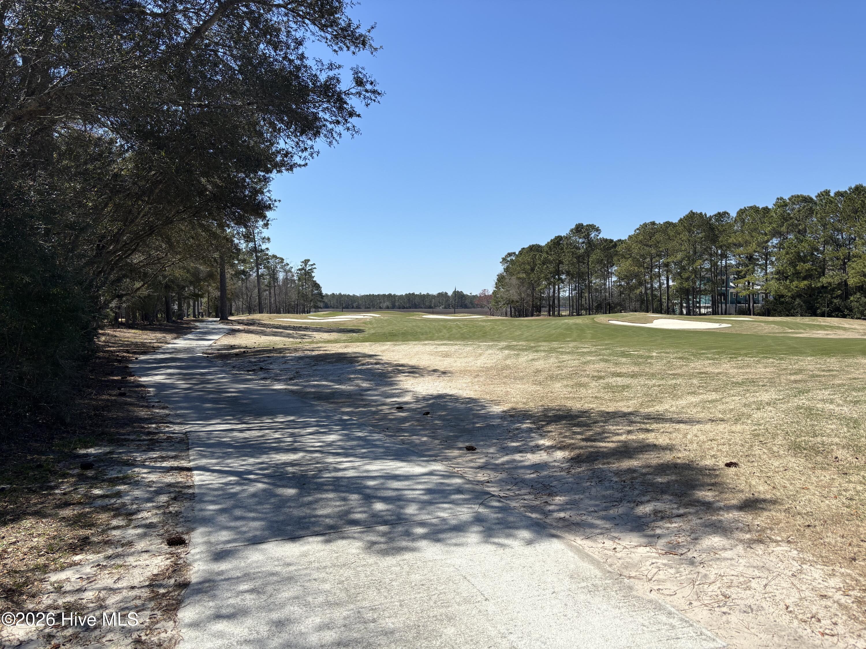 100554339 | Photo 17